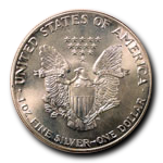 Silver Eagle Bullion Coins from Seven Star Enterprises